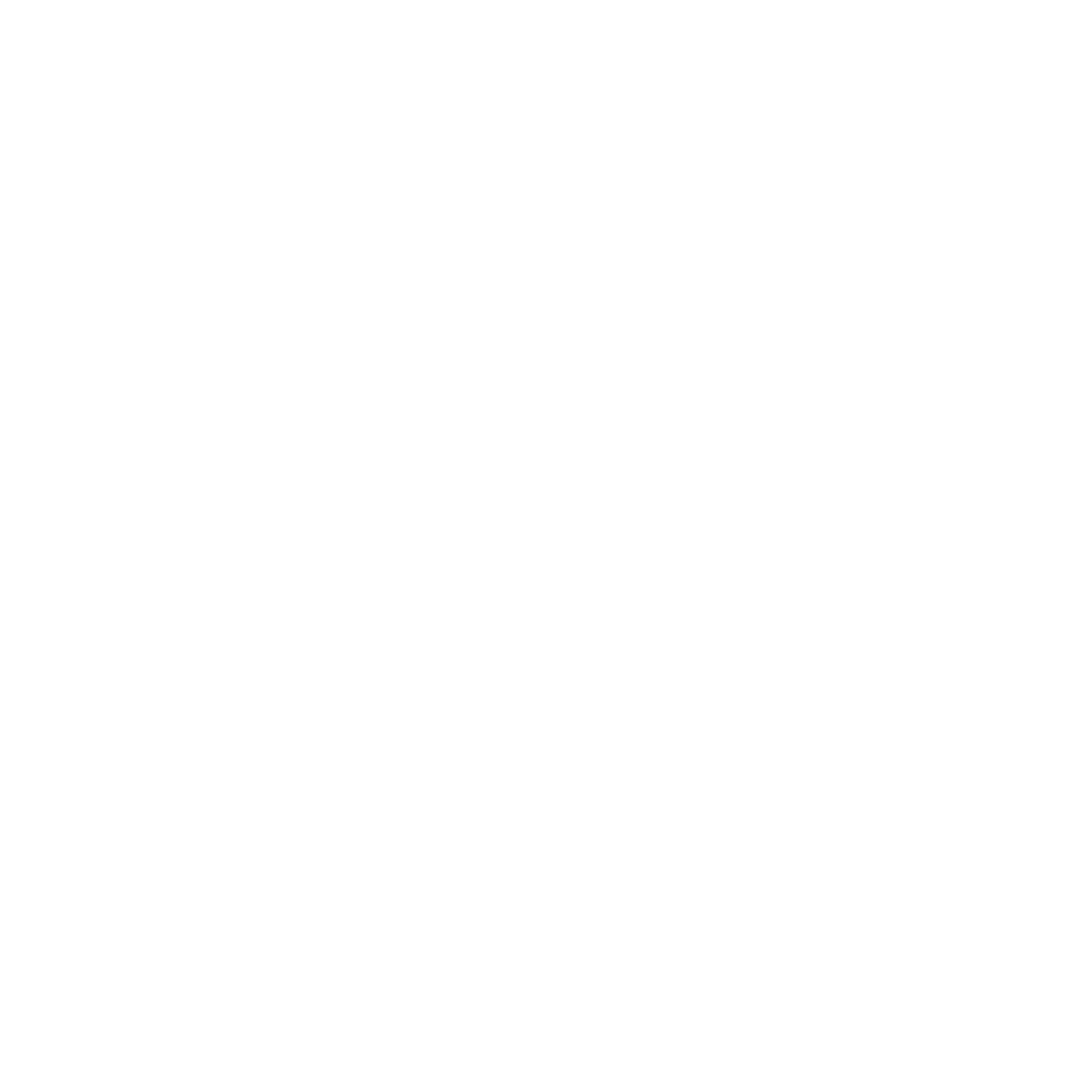 DJ Vallion Logo